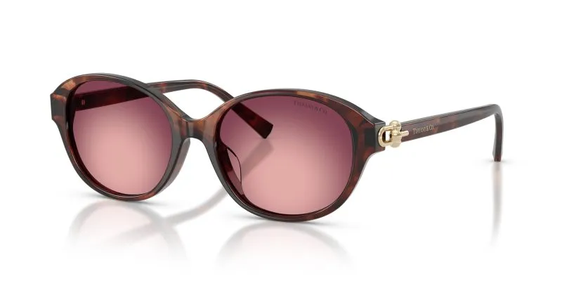 Tiffany & Co TF4263D-84218H - Quarter View