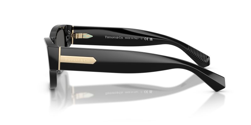 Tiffany & Co TF4265U-8001S4 - Side View