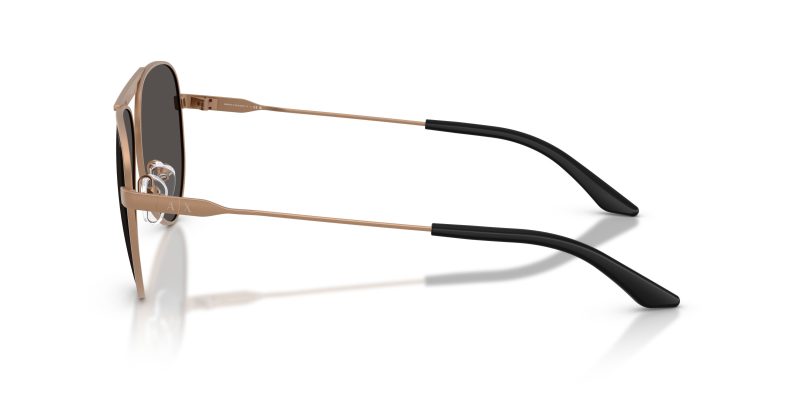 แว่นกันแดด Armani Exchange AX2060S 610687 มุมข้าง ลายโลโก้ AX บนขาแว่น