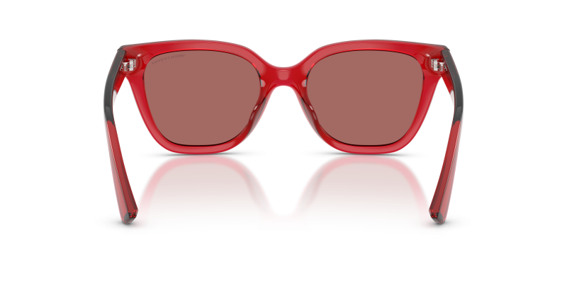 Armani Exchange AX4164SU 839369 ขาแว่นด้านใน
