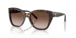Emporio Armani EA4198 502613 มุมเอียง 3/4 Emporio Armani EA4198 502613 มุมเอียง 3/4