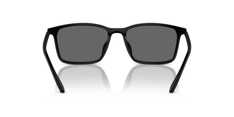 Emporio Armani EA4223U 500187 ขาแว่นด้านใน