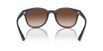 Emporio Armani EA4225U 508813 ขาแว่นด้านใน