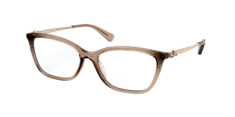 กรอบแว่นสายตา Coach HC6146U 5561 Transparent Brown