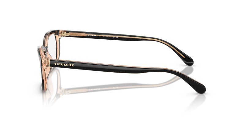 แว่นสายตา Coach HC6174 5781 มุมข้าง โลโก้ Coach Signature C บนขาแว่น