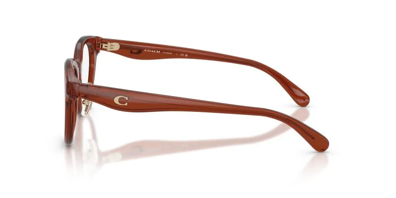 แว่นสายตา Coach HC6280D 5847 มุมข้าง เนื้ออะซิเตทโปร่งใส (Transparent finish)