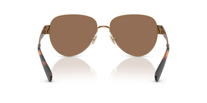 Coach HC7186 948473 ขาแว่นด้านใน