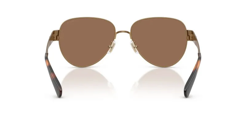 Coach HC7186 948473 ขาแว่นด้านใน