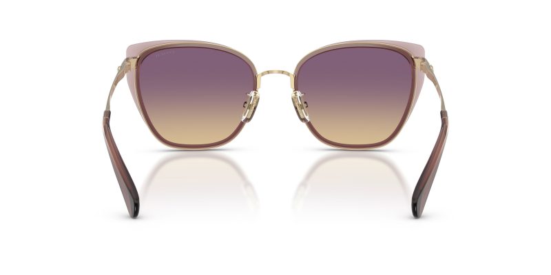Coach HC7187 948570 ขาแว่นด้านใน