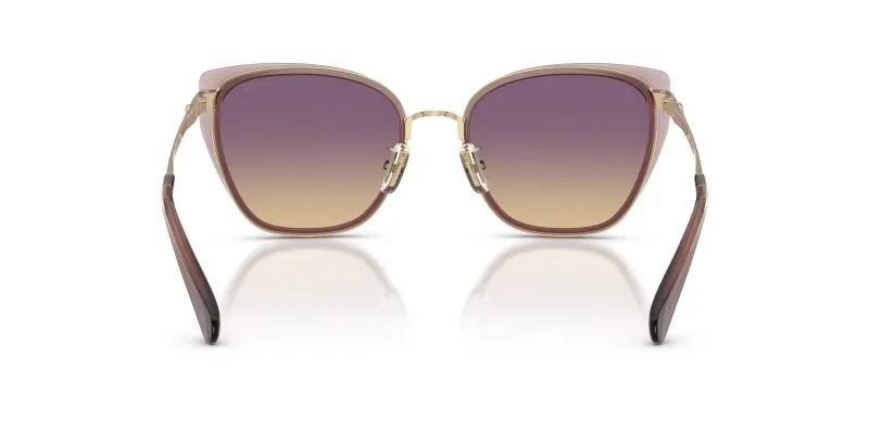 Coach HC7187 948570 ขาแว่นด้านใน