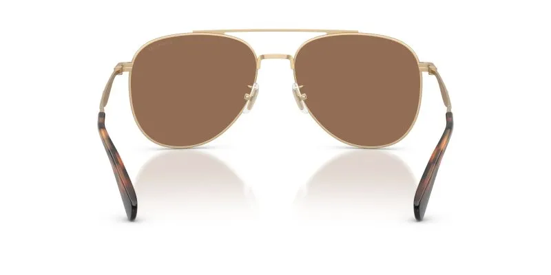 Coach HC7190 900513 ขาแว่นด้านใน