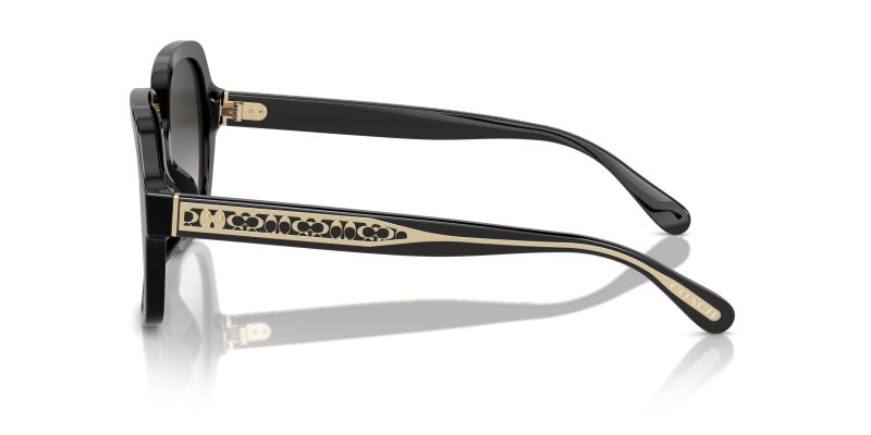 แว่นกันแดด Coach HC8395F 50023C มุมข้าง โลโก้ Coach Signature C บนขาแว่น