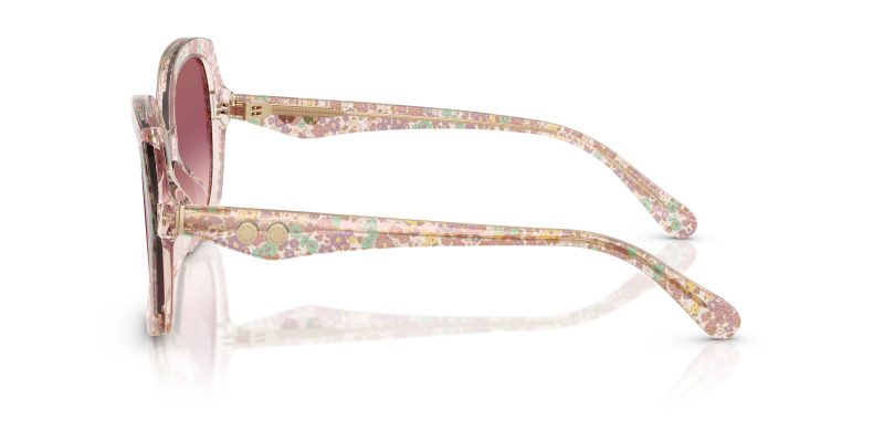 แว่นกันแดด Coach HC8410U 58947W มุมข้าง เนื้ออะซิเตทโปร่งใส (Transparent finish)