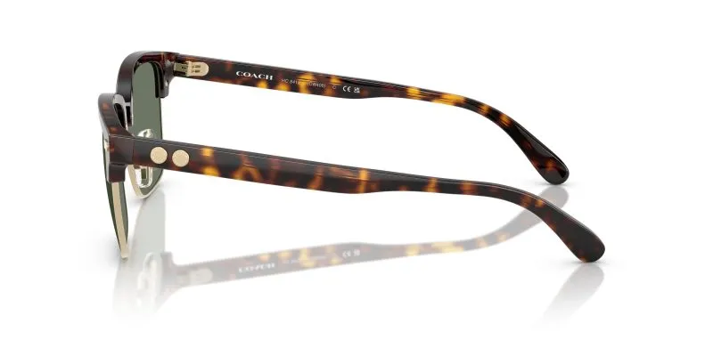 แว่นกันแดด Coach HC8412 51203H มุมข้าง ลายลูกเต่า (Tortoise) เอกลักษณ์ของ Coach