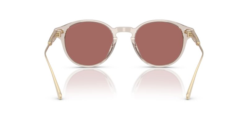Coach HC8428U 58790H ขาแว่นด้านใน