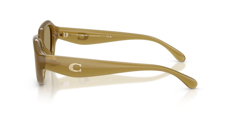 แว่นกันแดด Coach HC8433U 590230 มุมข้าง โลโก้ Coach Signature C บนขาแว่น