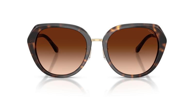 Coach Sun HC8436 512074 Dark Tortoise Brown Gradient Coach HC8436 512074 แว่นกันแดดลายเต่าเข้มเลนส์ไล่ระดับน้ำตาล สำหรับผู้หญิง
