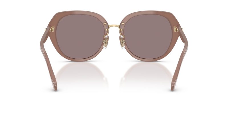 Coach HC8436 54957N ขาแว่นด้านใน