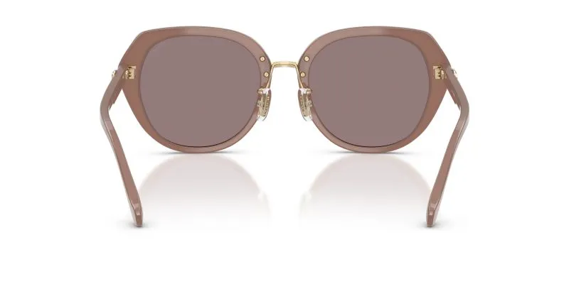 Coach HC8436 54957N ขาแว่นด้านใน