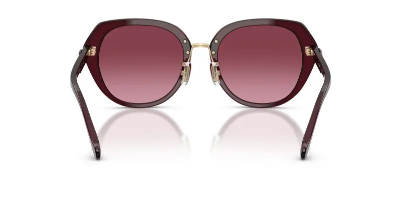 Coach HC8436 59158H ขาแว่นด้านใน