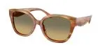 Coach HC8438U 5898L0 แว่นกันแดด สีStriated Bark/Moss สำหรับผู้หญิง