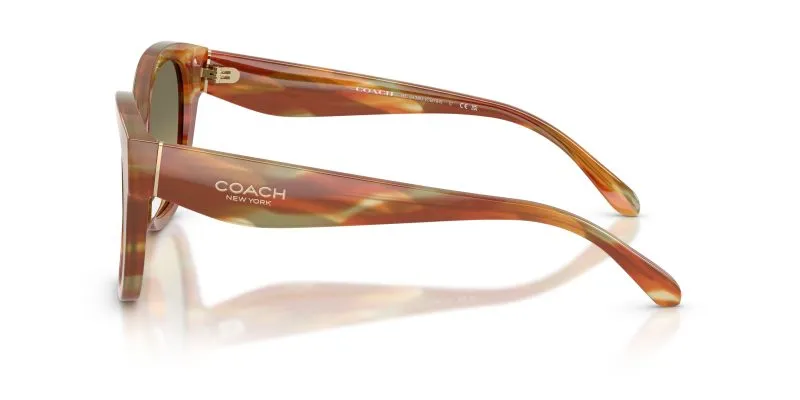 แว่นกันแดด Coach HC8438U 5898L0 มุมข้าง โลโก้ Coach Signature C บนขาแว่น