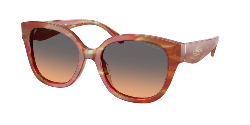 Coach HC8438U 590018 แว่นกันแดด Striated Chestnut สำหรับผู้หญิง