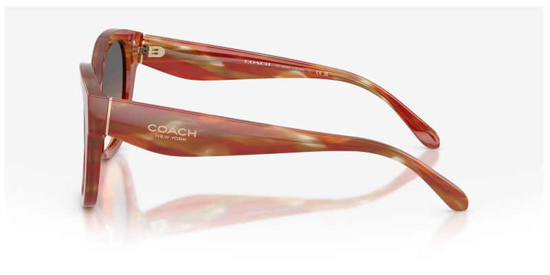 แว่นกันแดด Coach HC8438U 590018 มุมข้าง สีกรอบ Striated Chestnut