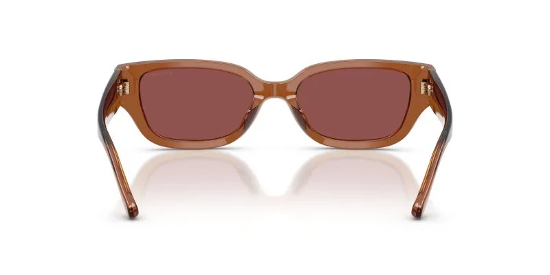 Coach HC8439U 581175 ขาแว่นด้านใน