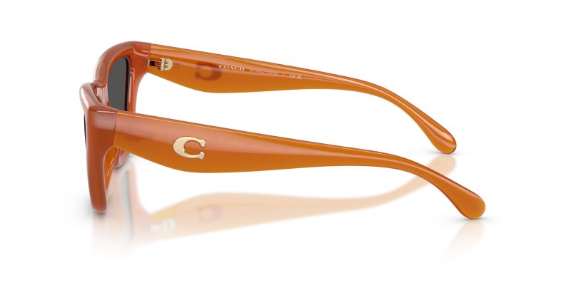แว่นกันแดด Coach HC8449U 593087 มุมข้าง โลโก้ Coach Signature C บนขาแว่น