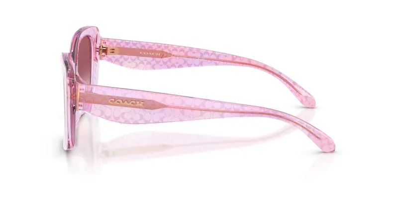 แว่นกันแดด Coach HC8450U 59337W มุมข้าง โลโก้ Coach Signature C บนขาแว่น