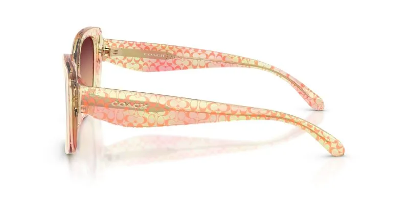 แว่นกันแดด Coach HC8450U 5934W8 มุมข้าง โลโก้ Coach Signature C บนขาแว่น