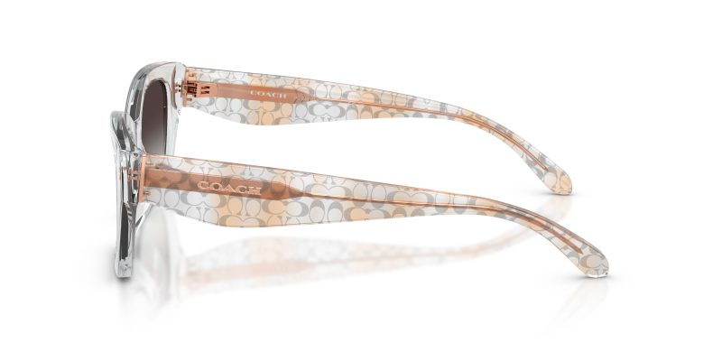 แว่นกันแดด Coach HC8451U 59358G มุมข้าง เนื้ออะซิเตทโปร่งใส (Transparent finish)