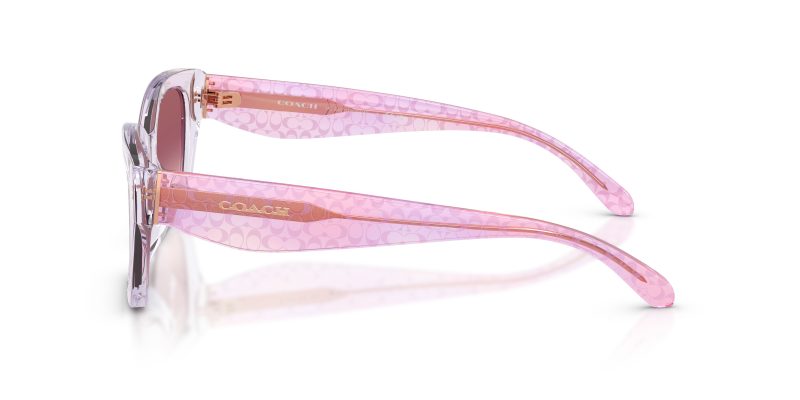 แว่นกันแดด Coach HC8451U 59367W มุมข้าง เนื้ออะซิเตทโปร่งใส (Transparent finish)