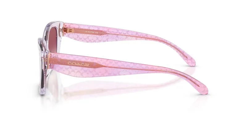 แว่นกันแดด Coach HC8451U 59367W มุมข้าง เนื้ออะซิเตทโปร่งใส (Transparent finish)