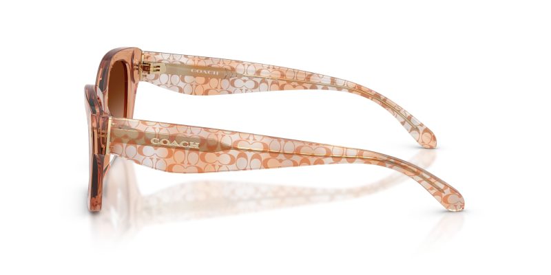 แว่นกันแดด Coach HC8451U 593774 มุมข้าง เนื้ออะซิเตทโปร่งใส (Transparent finish)