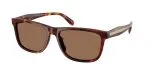 Coach HC8454U 593813 แว่นกันแดด สีWalnut Tortoise สำหรับผู้ชาย