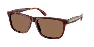 Coach HC8454U 593813 แว่นกันแดด สีWalnut Tortoise สำหรับผู้ชาย