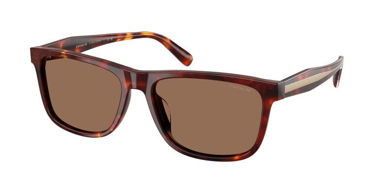 Coach HC8454U 593813 แว่นกันแดด สีWalnut Tortoise สำหรับผู้ชาย