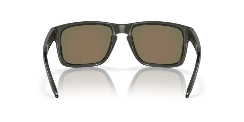 Oakley OO9244 924428 ขาแว่นด้านใน