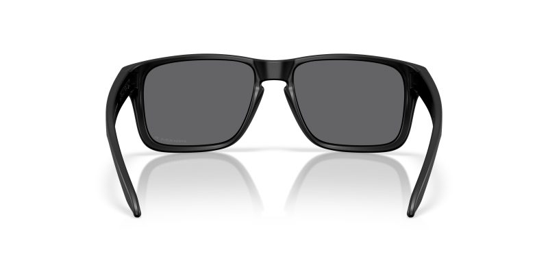 Oakley OO9509 950901 ขาแว่นด้านใน