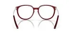 Oakley OX8150-04 ขาแว่นด้านใน Oakley OX8150-04 ขาแว่นด้านใน