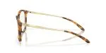 แว่นสายตา Oakley OX8150-07 มุมข้าง หน้ากรอบสีเต่าจินเจอร์ด้าน ขาแว่นSatin Light Gold แว่นสายตา Oakley OX8150-07 มุมข้าง หน้ากรอบสีเต่าจินเจอร์ด้าน ขาแว่นSatin Light Gold