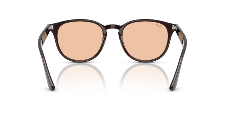 Rayban RB4259F 623193 ขาแว่นด้านใน