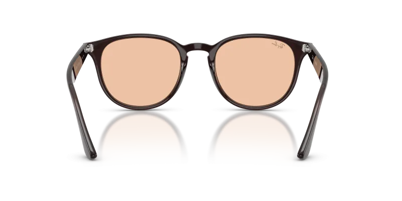 Rayban RB4259F 623193 ขาแว่นด้านใน