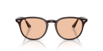 Rayban RB4259F 623193 แว่นกันแดดกรอบน้ำตาลโปร่งใส เลนส์น้ำตาล ทั้งสองเพศ