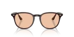 Rayban RB4259F 623193 แว่นกันแดดกรอบน้ำตาลโปร่งใส เลนส์น้ำตาล ทั้งสองเพศ