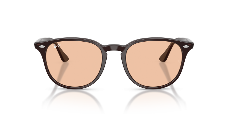 Rayban RB4259F 623193 แว่นกันแดดกรอบน้ำตาลโปร่งใส เลนส์น้ำตาล ทั้งสองเพศ