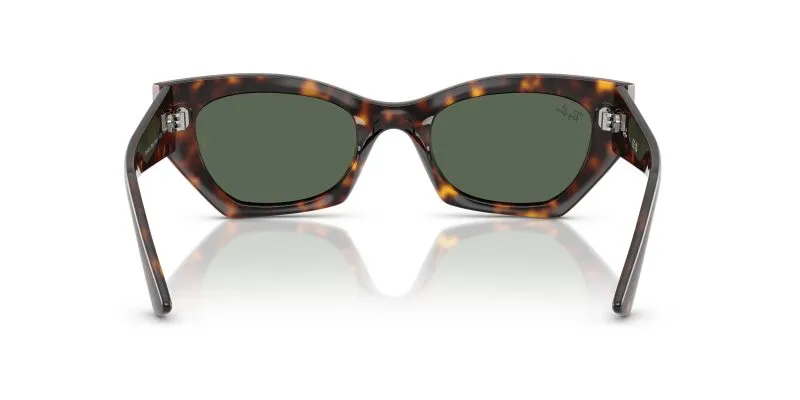 Ray-Ban RB4430F 135971 ขาแว่นด้านใน