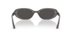 Ray-Ban RB4441D 677787 ขาแว่นด้านใน